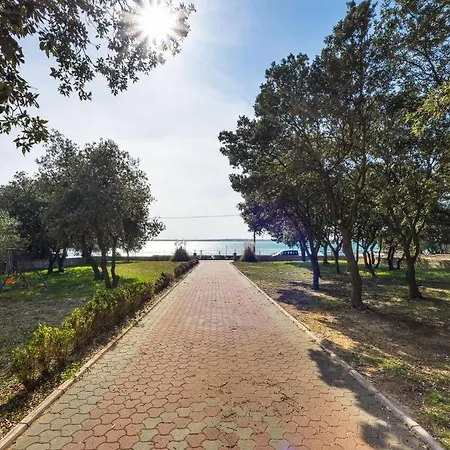 Apartamento - Mulo 5951d *