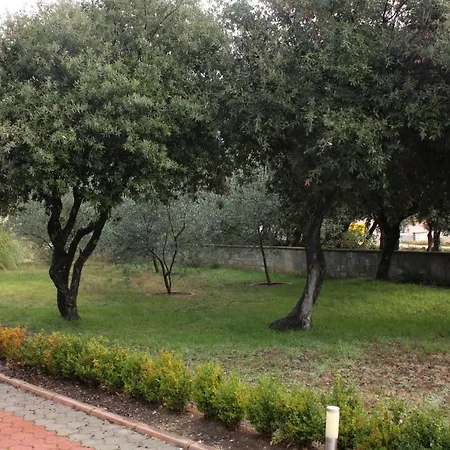 - Mulo 5951d Vrsi