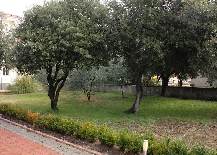 - Mulo 5951d Vrsi